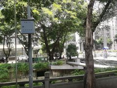 -探窝·竹笙椰子鸡(杨箕店)