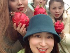 -洪湖家庭农场·团建·露营·会议