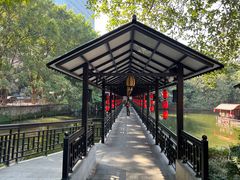 -侨美·唐荔园·40年地道粤菜