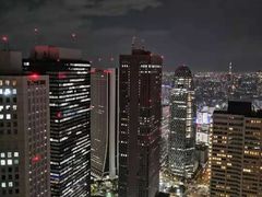 -东京都厅舍