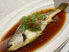 -鲜螺湾(鹏欣丽都店)