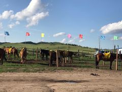 -塞罕坝国家级自然保护区