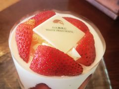 -白天鹅宾馆·月兔吧