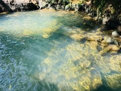 -广州白江湖森林公园