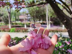 -观澜湖生态运动公社