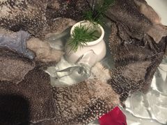 -老十七火锅(虹梅路店)