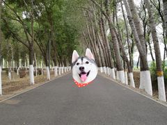 -东郊湿地公园