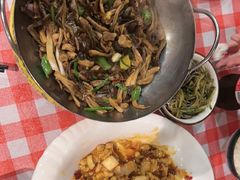 -邵年鸽(杨庄店)