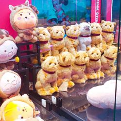 -嗨翻Hi-Fun竞技主题乐园·蹦床团建生日聚会(五棵松华熙店)