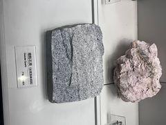 -重庆自然博物馆(新馆)
