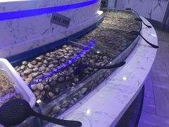 -澜悦港海鲜体验主题餐厅