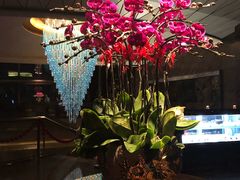 -瑞吉酒店·The Drawing Room闲逸廊·云端下午茶·夜奢Whiskey