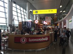 -谢列梅捷沃国际机场