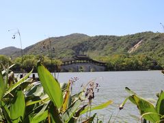 -长广溪湿地公园
