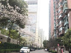 -云海苑