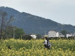 -新安江山水画廊风景区