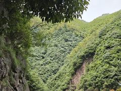 -安吉龙王山峡谷漂流