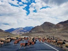 -青海湖国家重点风景名胜区