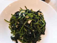 蒜蓉红薯尖-鱼痴渔醉·食鲜集(月亮湾店)