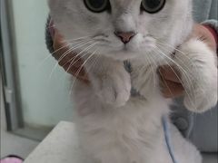 -心仪动物医院·牙专科·肿瘤·心脏科(西客站院)