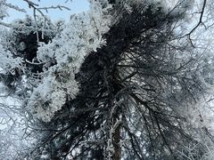 -湖州龙王山景区