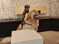 -CUBIC3三立方咖啡(西岸凤巢店)