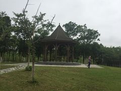 -上海都市菜园