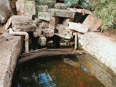 -九天休闲谷