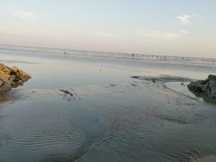 -南汇新城海滩