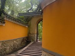 -普陀山风景名胜区-法雨禅寺