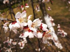 -白塘生态植物园