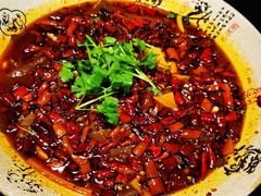 精品毛血旺-陈麻婆豆腐(旗舰店)