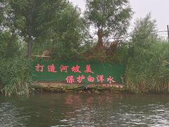 -白洋淀景区