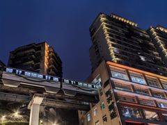 -李子坝梁山鸡(李子坝大鸡哥店)