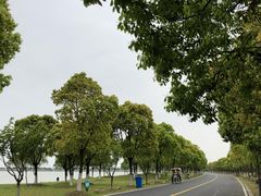 -漕湖湿地公园