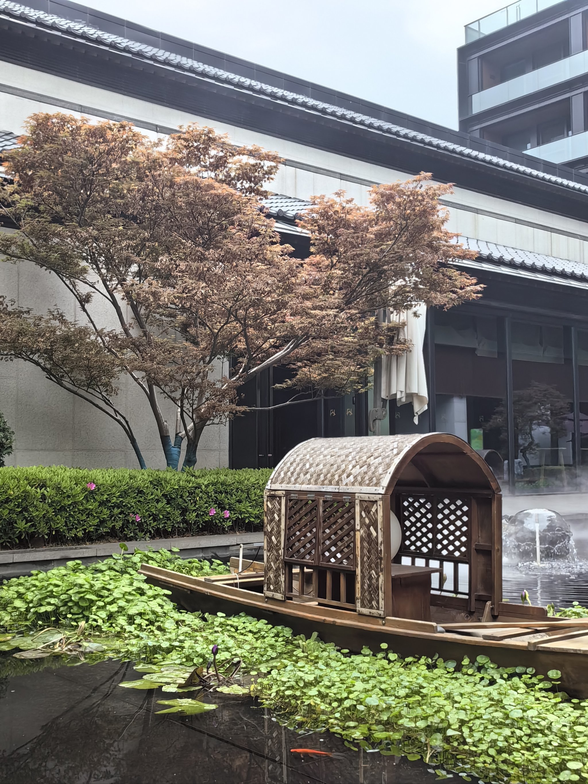 新中式风格酒店:新旅中书书院酒店