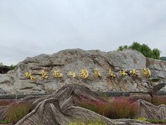 -北京西山国家森林公园