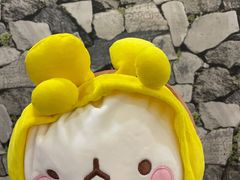 -新世界百货(明洞总店)