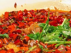 -华豫川酒家(双子塔店)