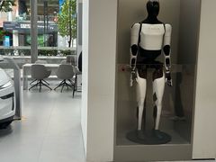 -TESLA 特斯拉(广州天环广场体验店)