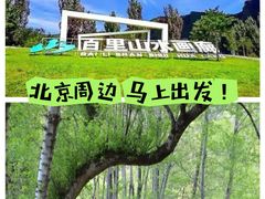 -百里山水画廊