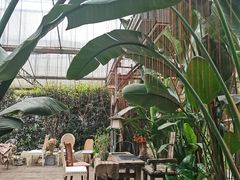-桉树林A coffee 森林餐厅(三圣乡店)