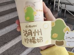 -猫的魔法密林(衣裳街店)