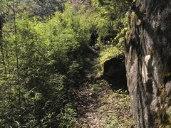 -青峰峡国家森林公园