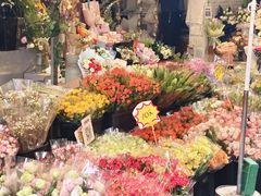 -循礼门鲜花花市(武汉循礼门店)