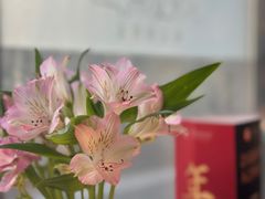 -淮扬府·游园京梦(中粮广场店)