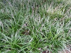 android_upload_pic-上海怡沁园度假酒店