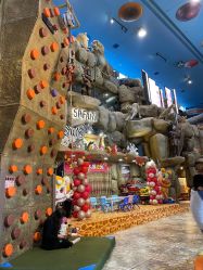 -卡通尼·Safari非洲探索乐园·生日会(金桥国际商业广场店)