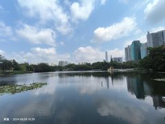 -荔枝公园(福田区)