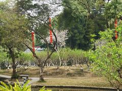 -桃花涧